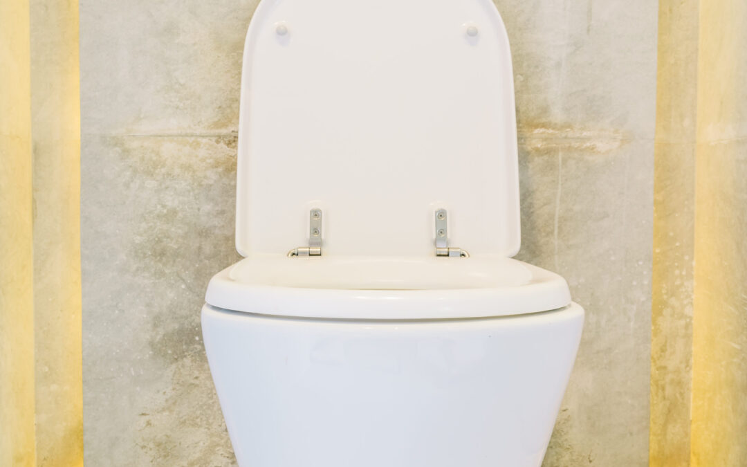 Everything You Need to Know About Raised Toilet Seats