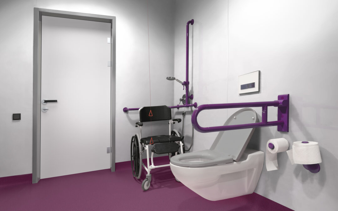 An assistive bathing system with handrails and a secure seat in a modern, accessible bathroom.